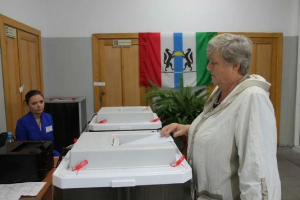 Как проголосовала новосибирская область
