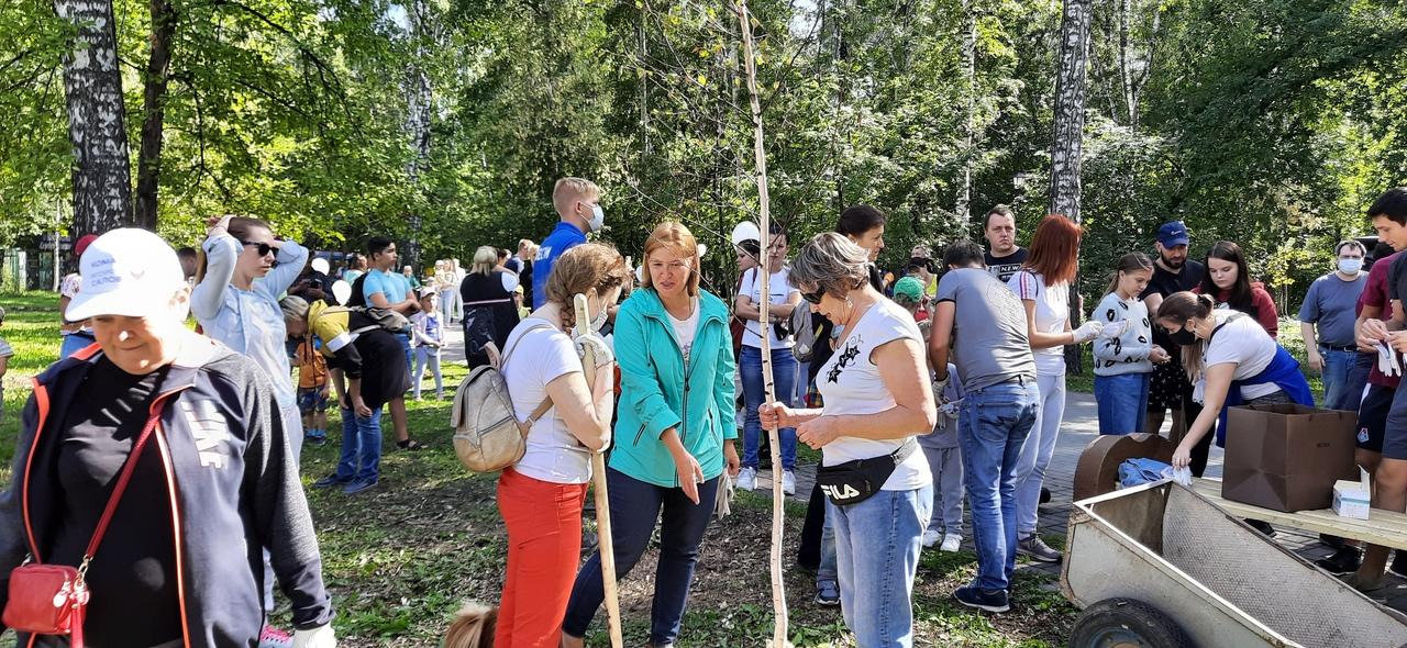 Легенда парк березовая роща