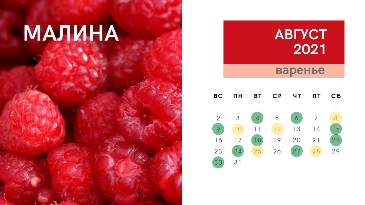 Малина расписание на завтра
