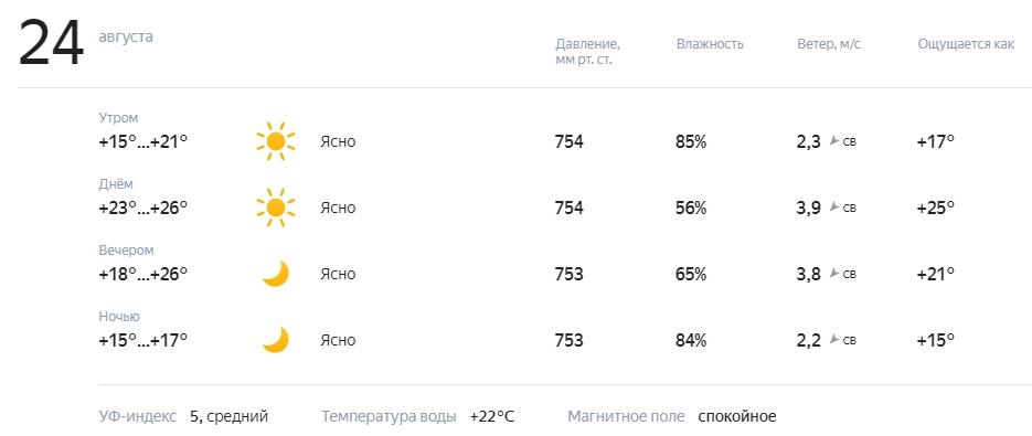 Фото Готовимся загорать: на 24 августа синоптики прогнозируют жаркую погоду в Новосибирске 3