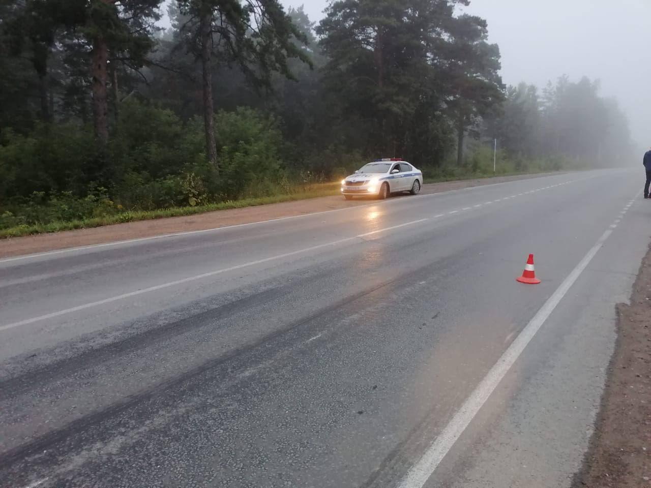 Фото Велосипедист погиб в ночном ДТП в Заельцовском районе Новосибирска 3