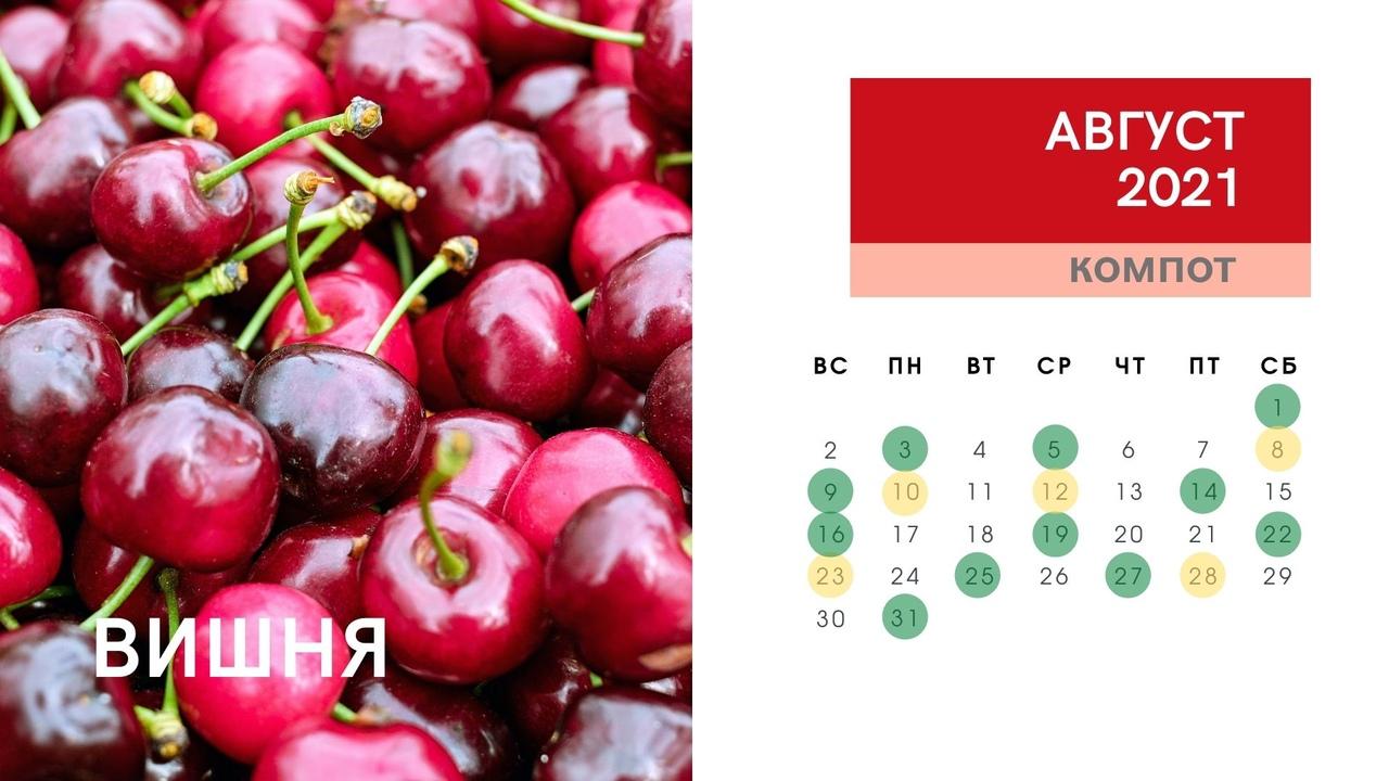 Фото Календарь консервирования и заготовок на зиму в августе 2021 года: огурцы, кабачки, помидоры, малина, вишня 6