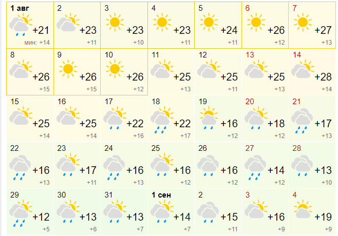 Фото Дожди пойдут в Новосибирске в последние недели августа 2