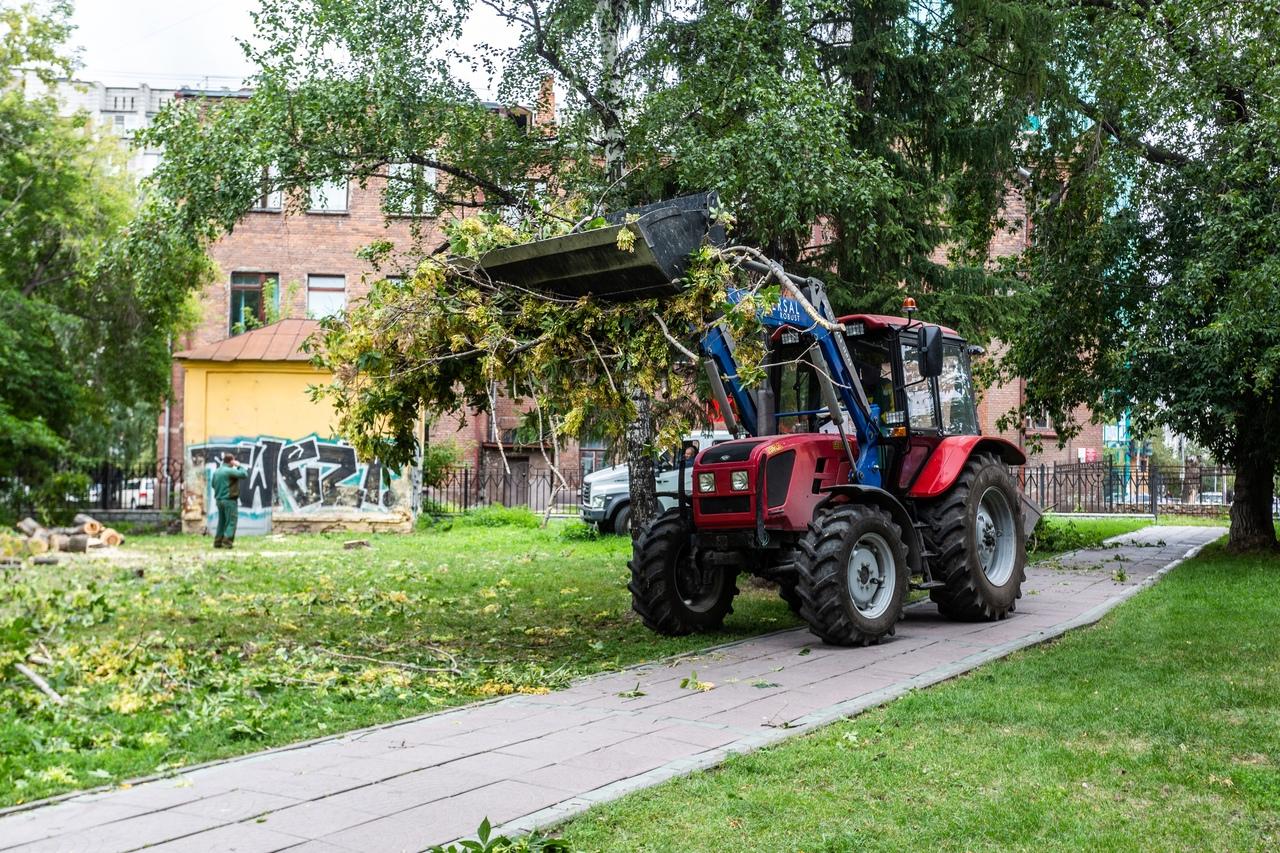 Фото В мэрии Новосибирска объяснили снос 177 деревьев в Нарымском сквере 3