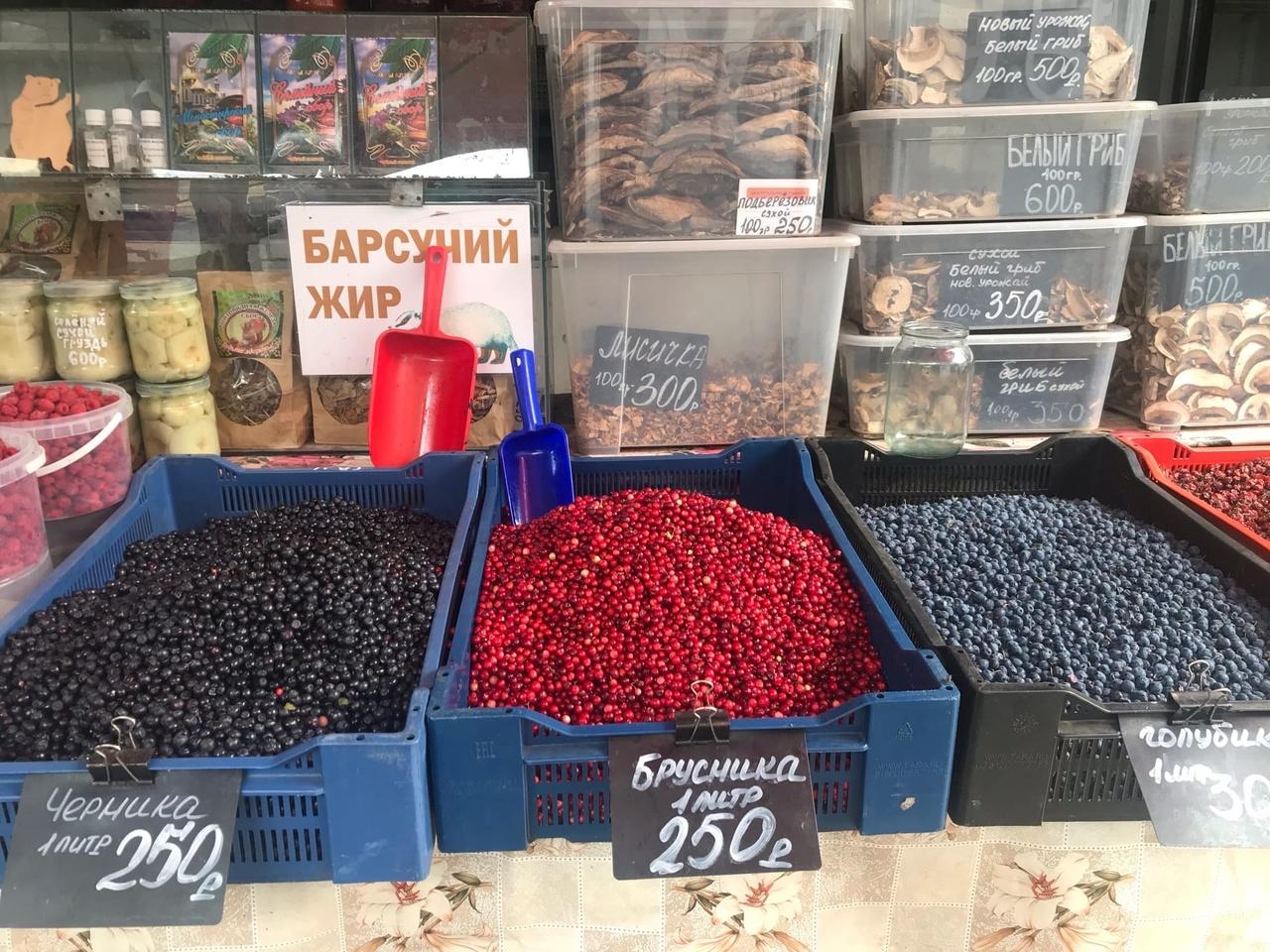 Фото Продавцы брусники в Новосибирске заявили об алтайском происхождении ягоды 2
