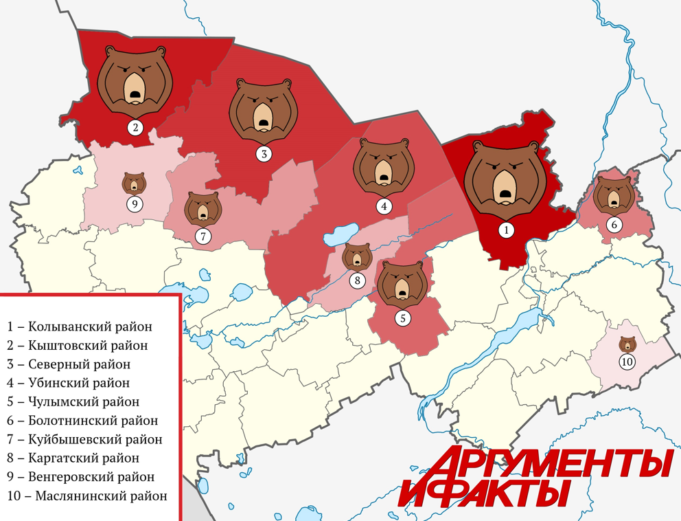 Фото Эксперт составил карту районов Новосибирской области с наибольшим числом медведей 2