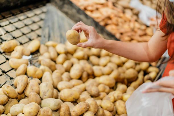 Фото Как быстро просушить собранный картофель: три секрета от опытных огородников 2
