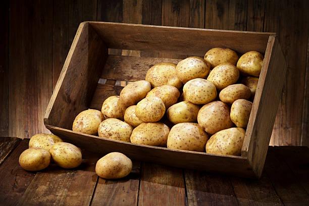 Фото Как быстро просушить собранный картофель: три секрета от опытных огородников 6