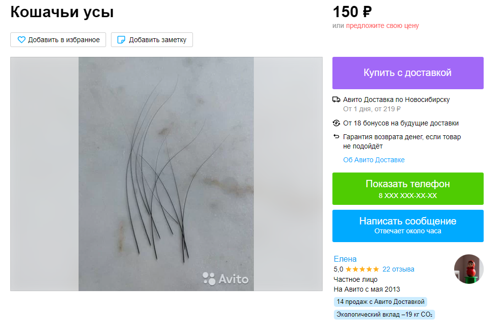 Фото Кошачьи усы по 300 рублей за штуку выставили на продажу в Новосибирске 2