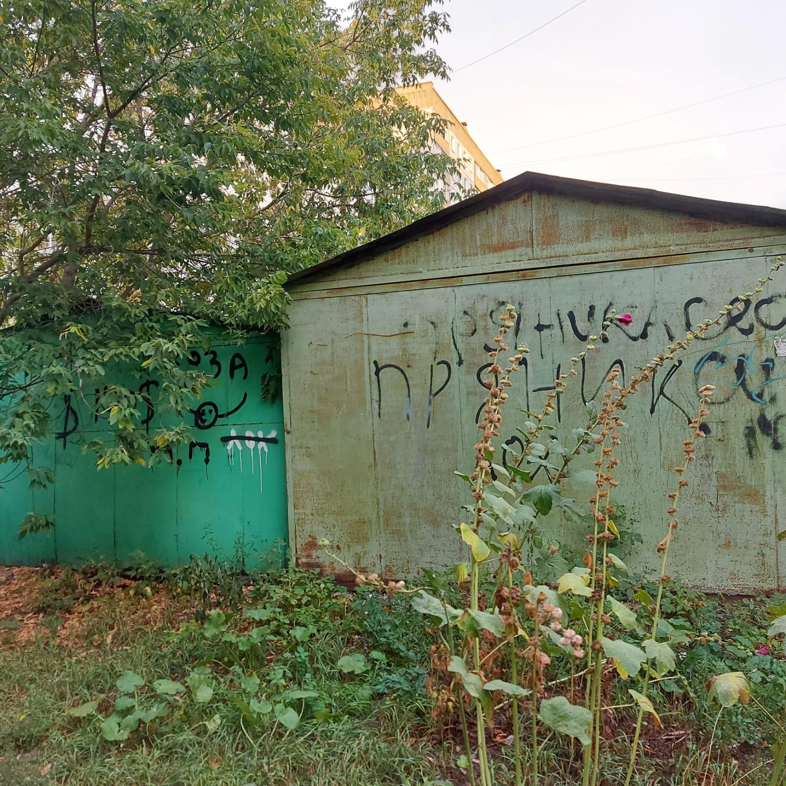 Фото Под Новосибирском жители Верх-Тулы возмутились требованием убрать гаражи из-за участника СВО 2