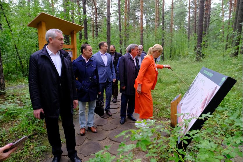 Фото Забота о городских лесах и парках: губернатор Новосибирской области поставил задачи по защите зелёного каркаса мегаполиса 3
