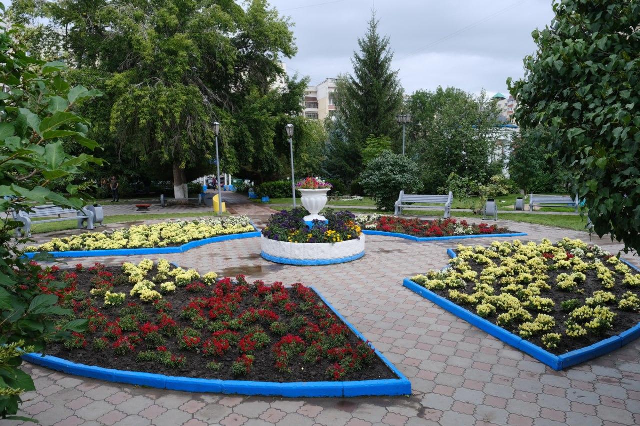 Фото Андрей Травников: Областной бюджет поможет городу приобрести технику и необходимые инструменты для содержания зелёных зон 3