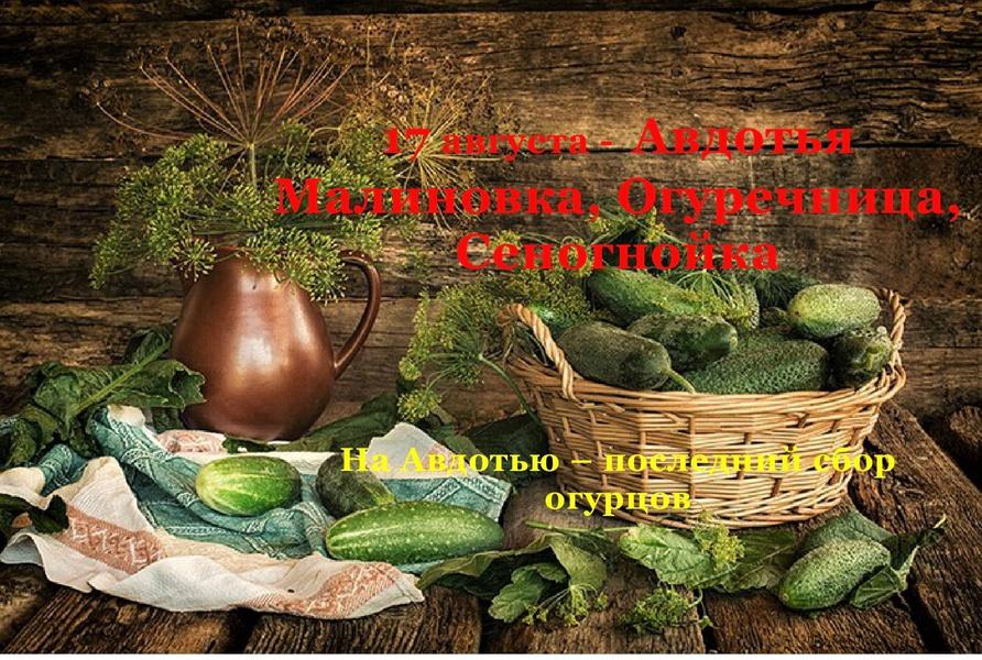 Фото День Авдотьи Малиновки 17 августа: красивые открытки и душевные поздравления для бесплатного скачивания 8 - Сиб.ФМ Фото День Авдотьи Малиновки 17 августа: красивые открытки и душевные поздравления для бесплатного скачивания 8