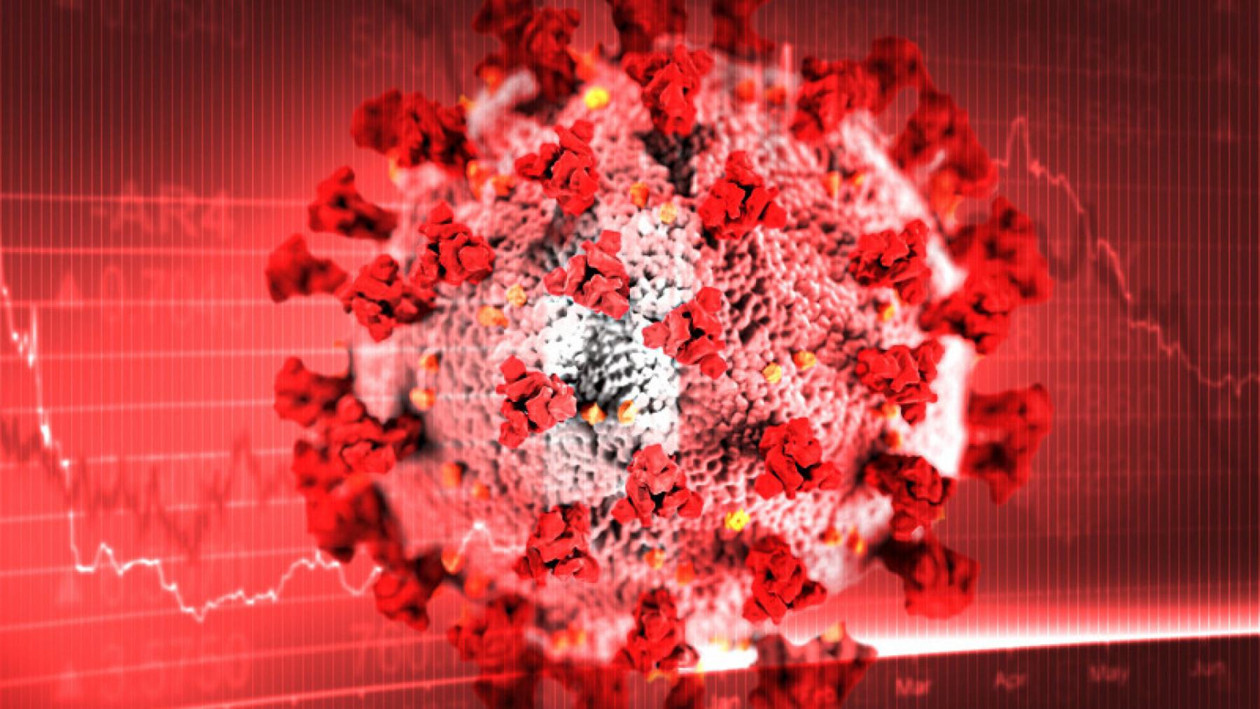 Фото Россию косят вирусы-близнецы: первые смерти зафиксировал Оперштаб РФ 2 - Сиб.ФМ Фото Россию косят вирусы-близнецы: первые смерти зафиксировал Оперштаб РФ 2