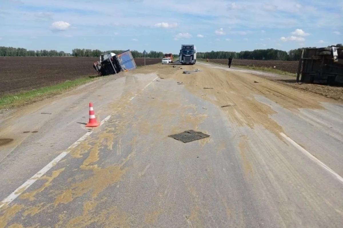 Фото Преступления мошенников и смертельное ДТП: главные новости Новосибирска за 13 августа 2 - Сиб.ФМ Фото Преступления мошенников и смертельное ДТП: главные новости Новосибирска за 13 августа 2