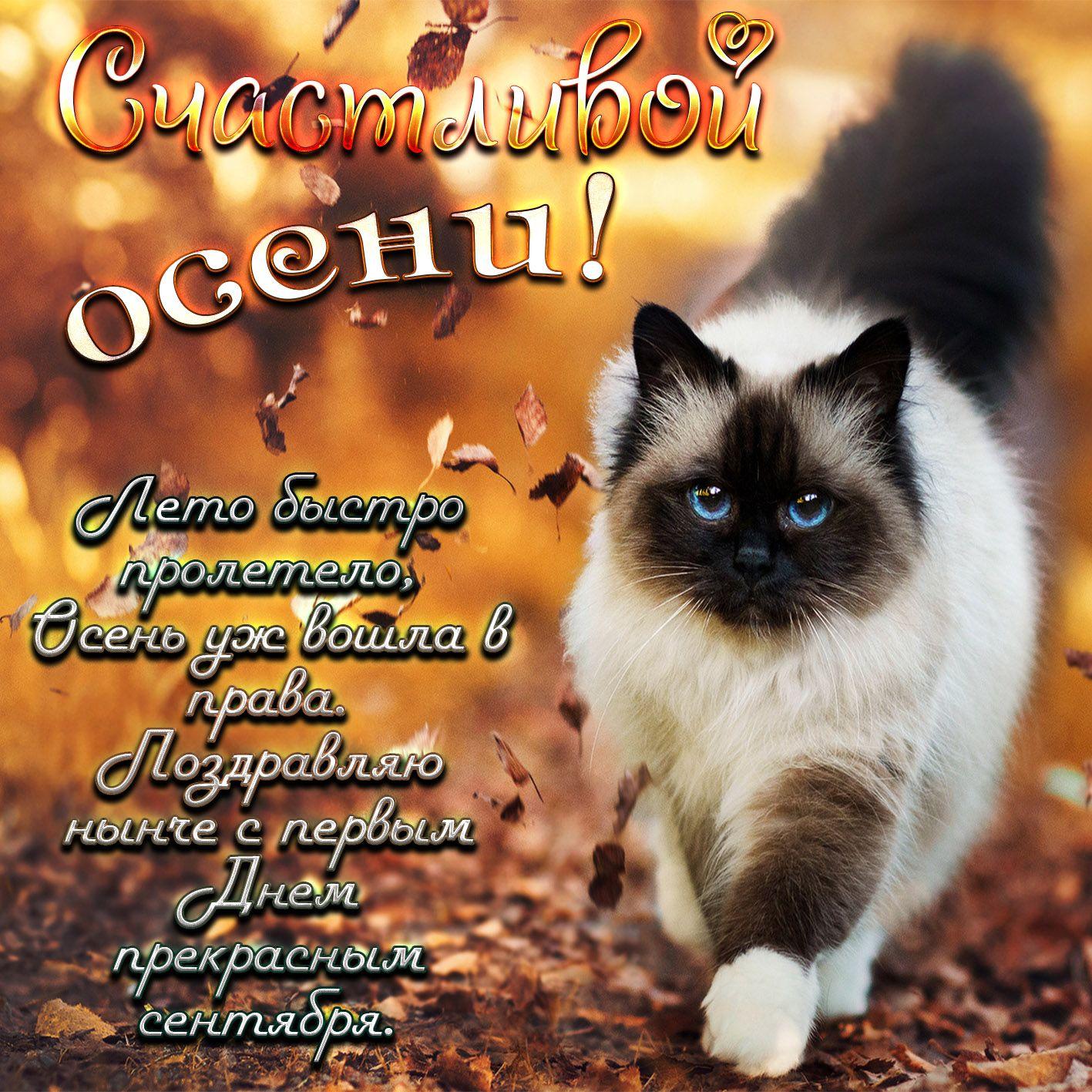 Фото Время уютных свитеров: подборка открыток о начале осени 2 - Сиб.ФМ Фото Время уютных свитеров: подборка открыток о начале осени 2