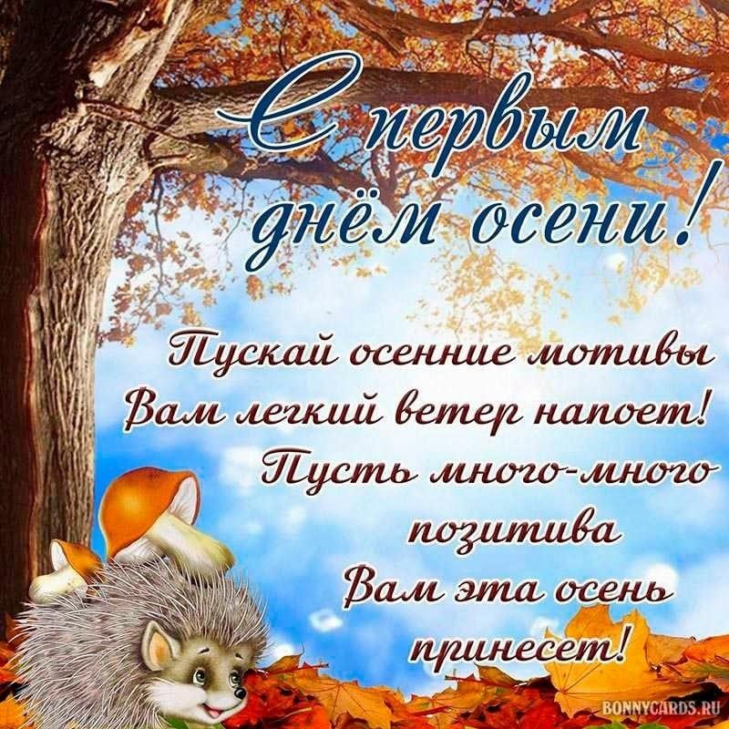 Фото Время уютных свитеров: подборка открыток о начале осени 3 - Сиб.ФМ Фото Время уютных свитеров: подборка открыток о начале осени 3