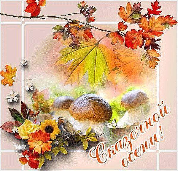 Фото Время уютных свитеров: подборка открыток о начале осени 5 - Сиб.ФМ Фото Время уютных свитеров: подборка открыток о начале осени 5