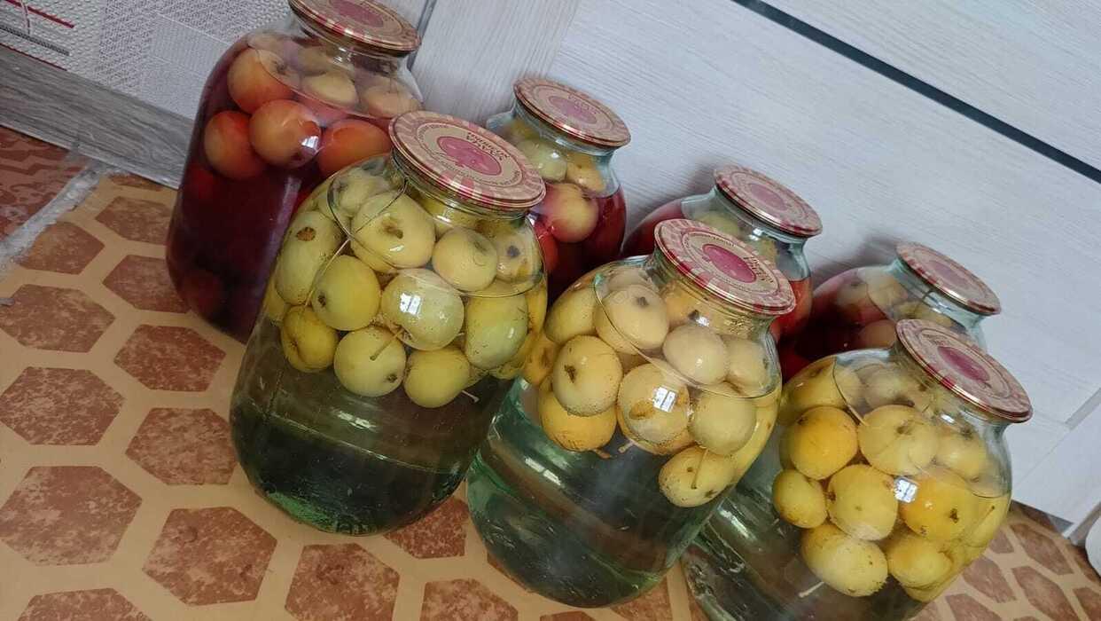 Фото В Яблочный Спас новосибирцы поделились фото своего урожая 3 - Сиб.ФМ Фото В Яблочный Спас новосибирцы поделились фото своего урожая 3