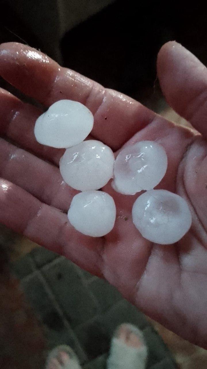 Фото В Новосибирске крупный град побил огороды дачников 3 - Сиб.ФМ Фото В Новосибирске крупный град побил огороды дачников 3