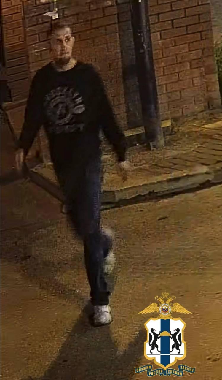 Фото В Новосибирске ищут преступника, который украл сумку с телефоном и деньгами 2 - Сиб.ФМ Фото В Новосибирске ищут преступника, который украл сумку с телефоном и деньгами 2