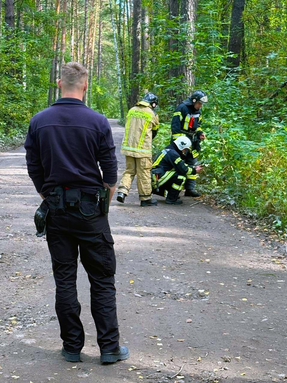 Фото В Заельцовском районе Новосибирска на обочине дороги нашли муляж гранаты 2 - Сиб.ФМ Фото В Заельцовском районе Новосибирска на обочине дороги нашли муляж гранаты 2