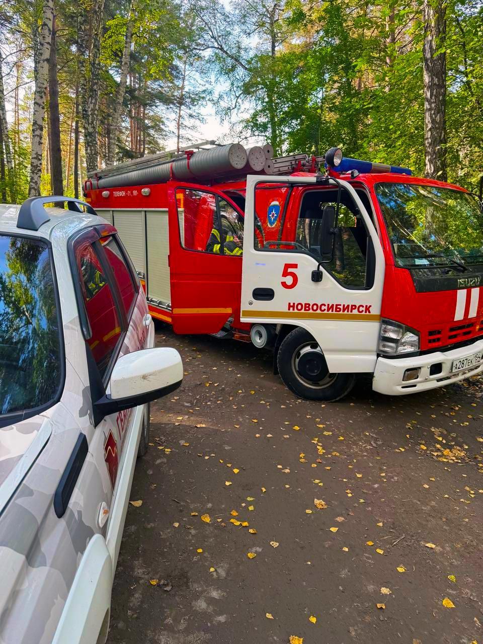 Фото В Заельцовском районе Новосибирска на обочине дороги нашли муляж гранаты 3 - Сиб.ФМ Фото В Заельцовском районе Новосибирска на обочине дороги нашли муляж гранаты 3