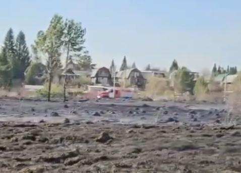 Фото Дачная война с вилами из-за дороги: подробности кровавого конфликта в СНТ «Инские плесы» 3