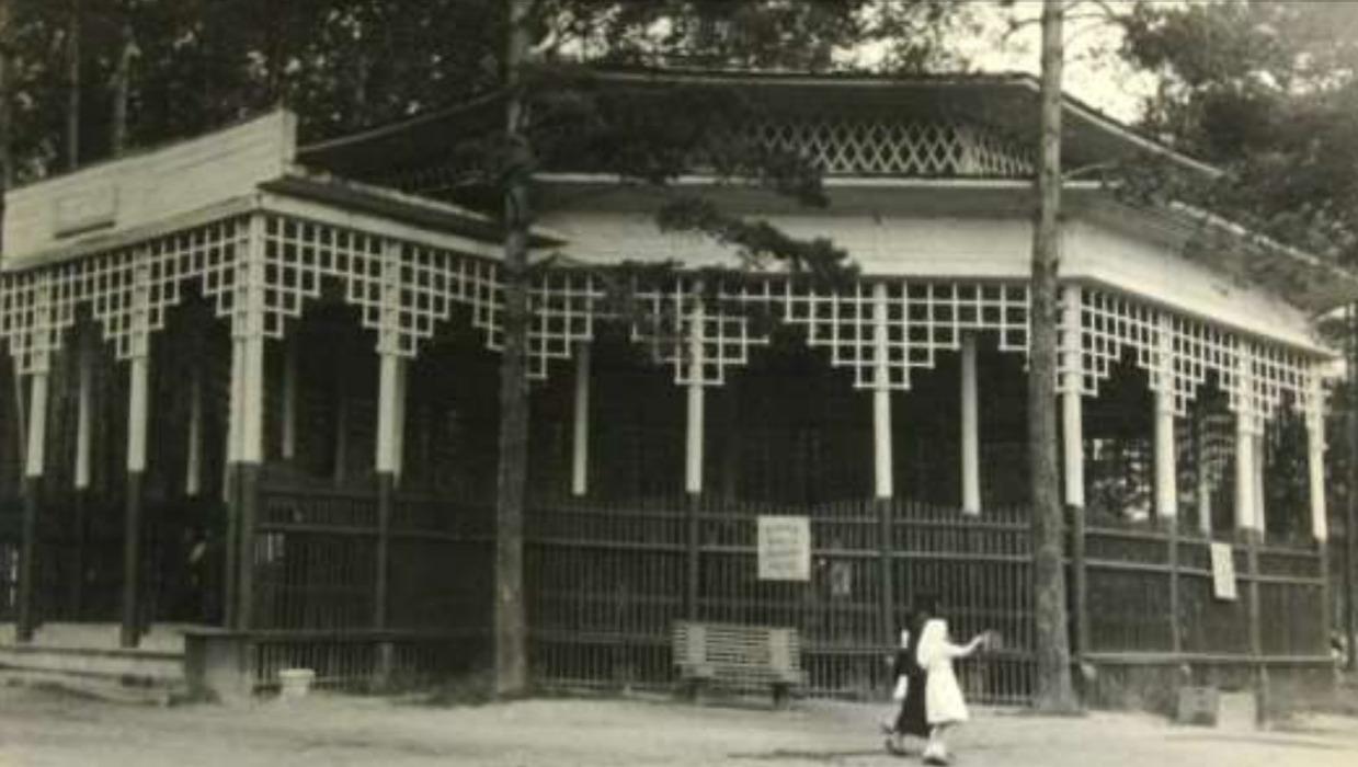 Фото Как отдыхали новосибирцы десятилетия назад: архивные фото 7 - Сиб.ФМ Фото Как отдыхали новосибирцы десятилетия назад: архивные фото 7
