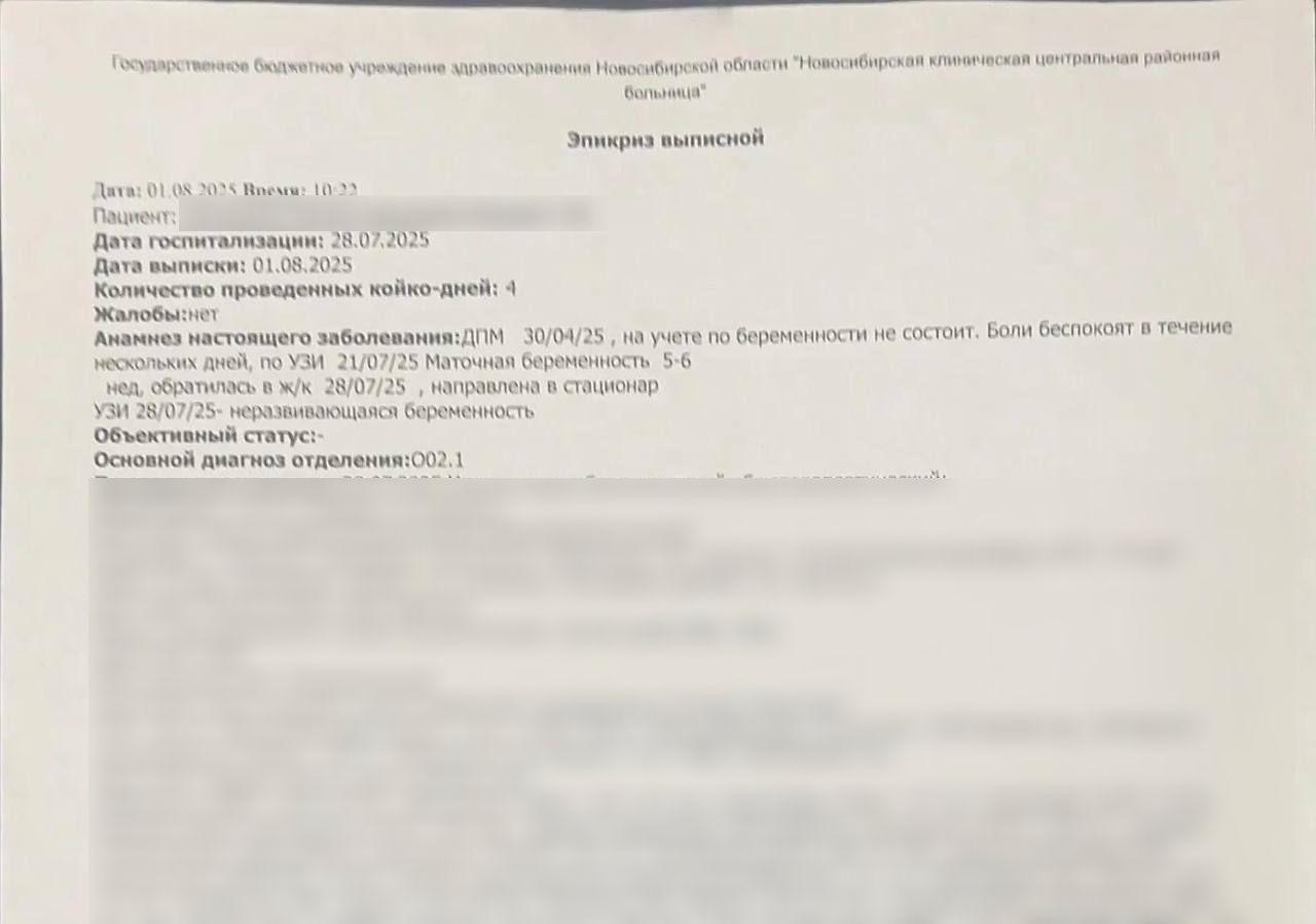 Фото Драка с беременной, уголовное дело и суд: подробности конфликта в новосибирском СНТ 2