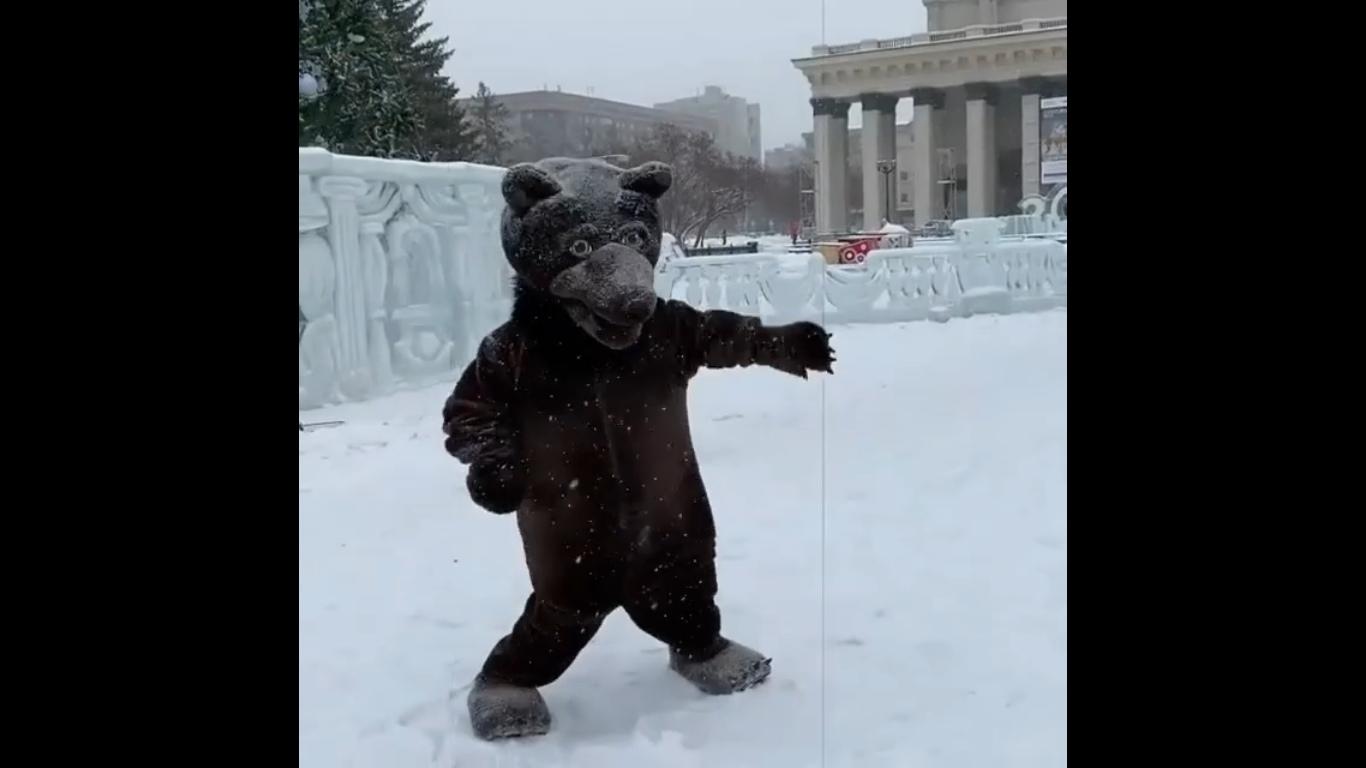 Песня танцующие медведи. Медведь танцует. Томпсон Танцующий мишка. Человек в костюме медведя танцует. Медведь Новосибирск.