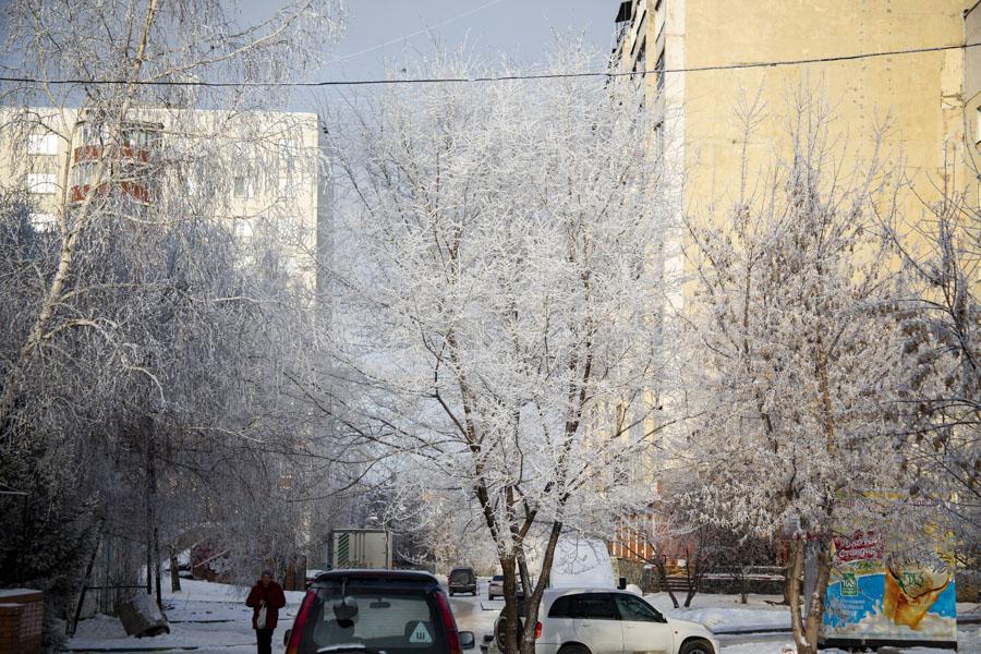 Время новосибирск сегодня. Морозы продолжаются Новосибирск. Снегопад в Новосибирске. Завтра в Новосибирской ожидается Мороз?. Погода в Новосибирске фото сегодня.