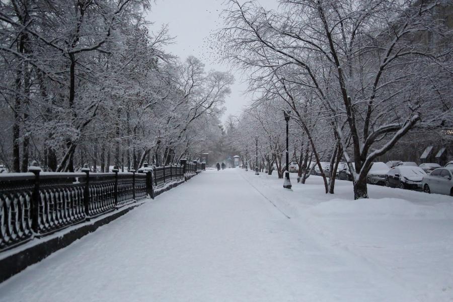 Снег в новокузнецке сегодня фото