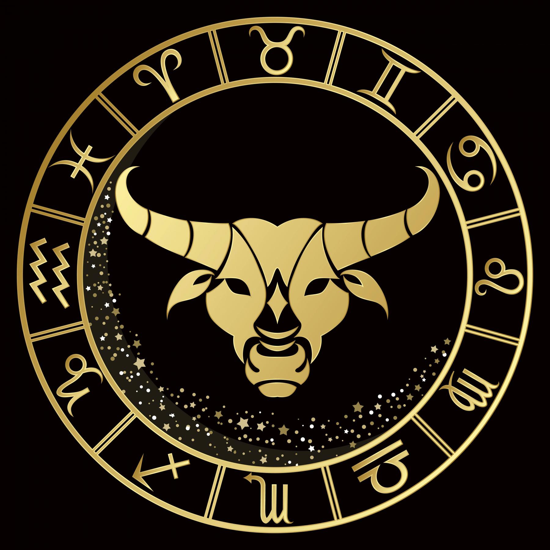Фото Кого из знаков зодиака ждёт успех в год Водяного Тигра: восточный гороскоп – 2022 6