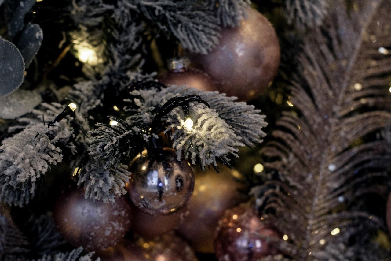 Фото Это на Новый год: когда нужно покупать ёлку, мандарины и икру, чтобы сохранить до 31 декабря 2