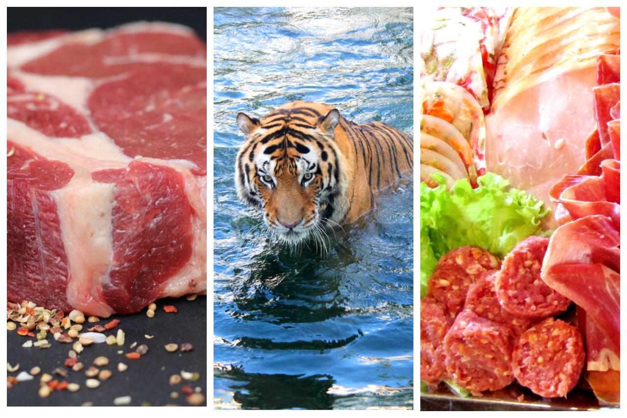 Фото мясные блюда на год тигра