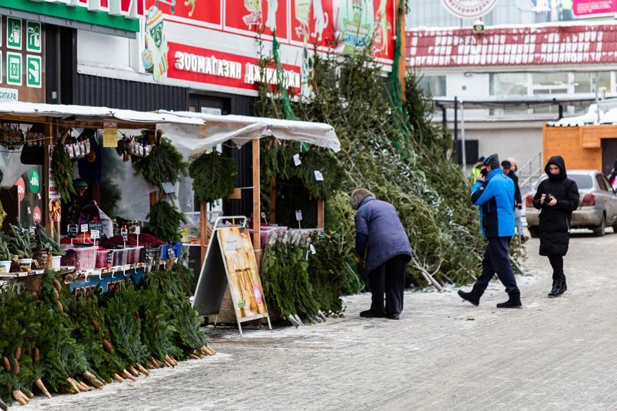 Фото Полиция проверяет ёлочные базары в Новосибирске на законность продажи новогодних деревьев 2