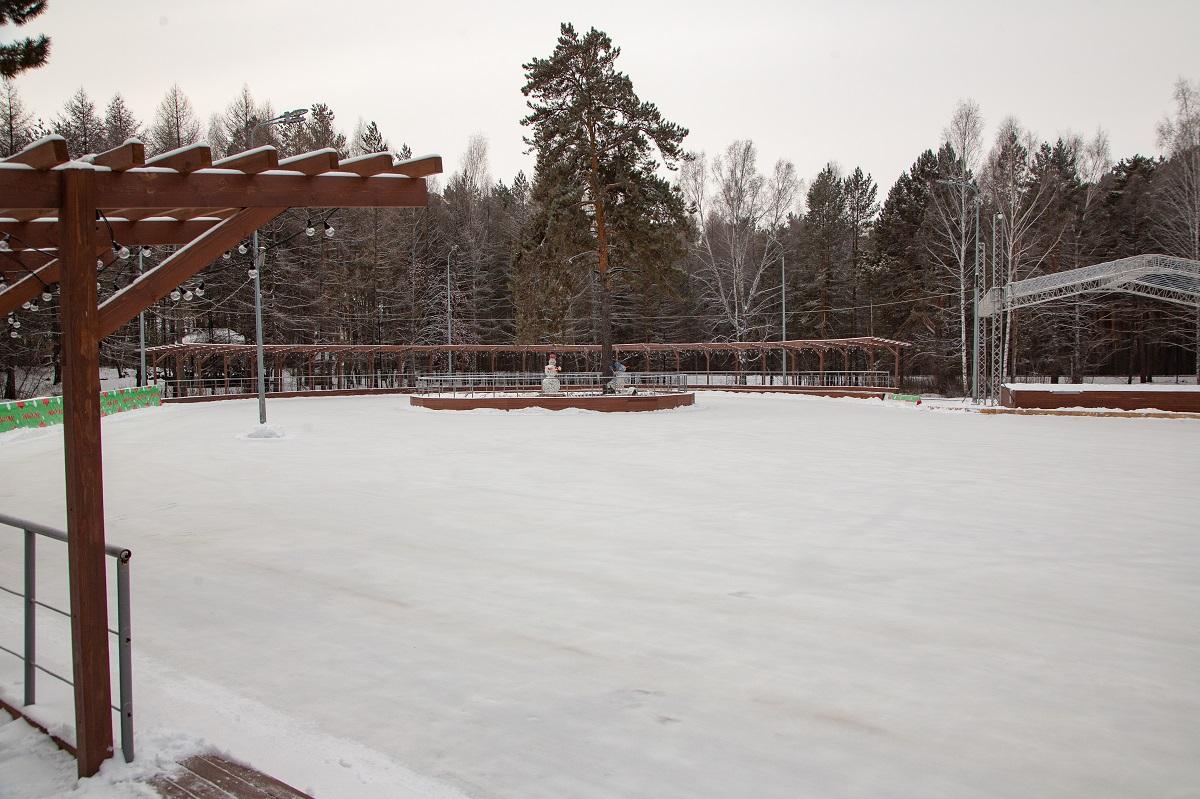 Фото В Заельцовском парке Новосибирска открылся новогодний каток 2