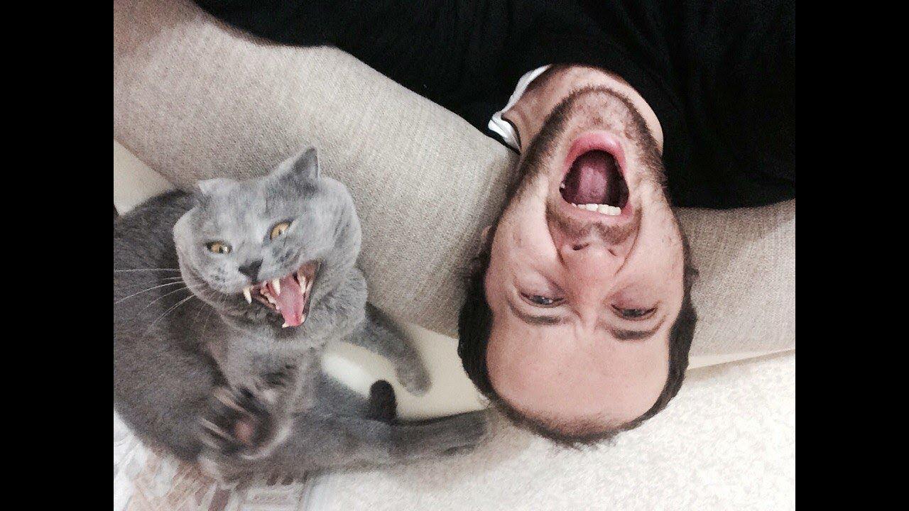 Фото Будто бес вселился: вот как ведут себя кошки перед смертью хозяев 2