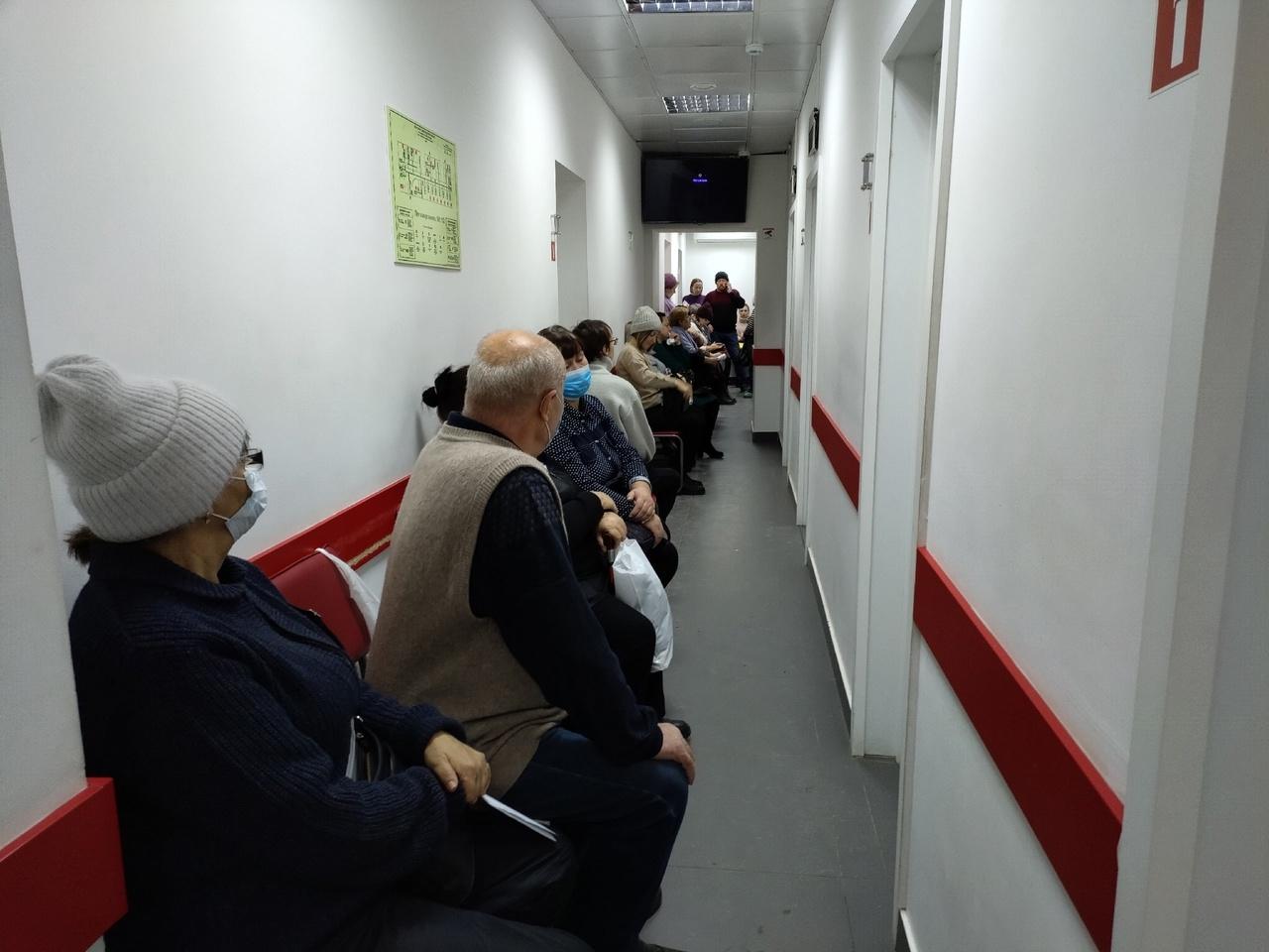 Фото Свиной грипп и COVID-19: показываем, что происходит в поликлиниках Новосибирска из-за всплеска инфекции 9