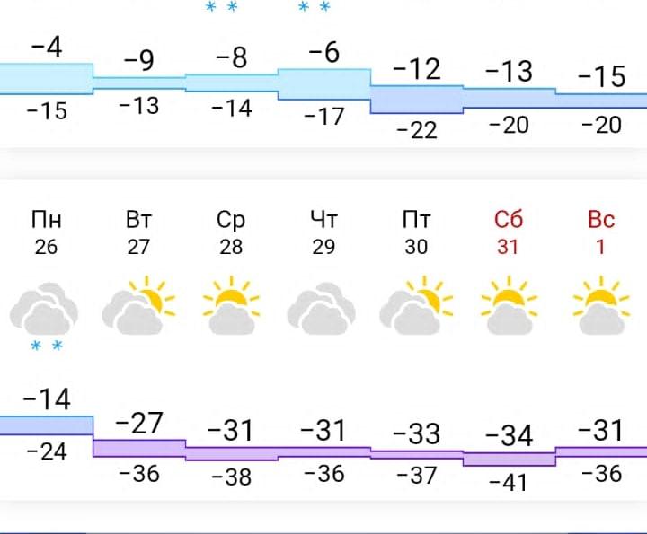 Фото В Новосибирске на Новый год будет мороз до -41 градуса 2
