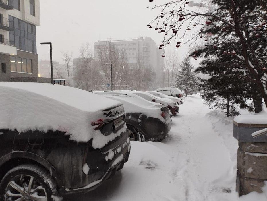 Фото В Новосибирске произошел снежный коллапс - фоторепортаж 5