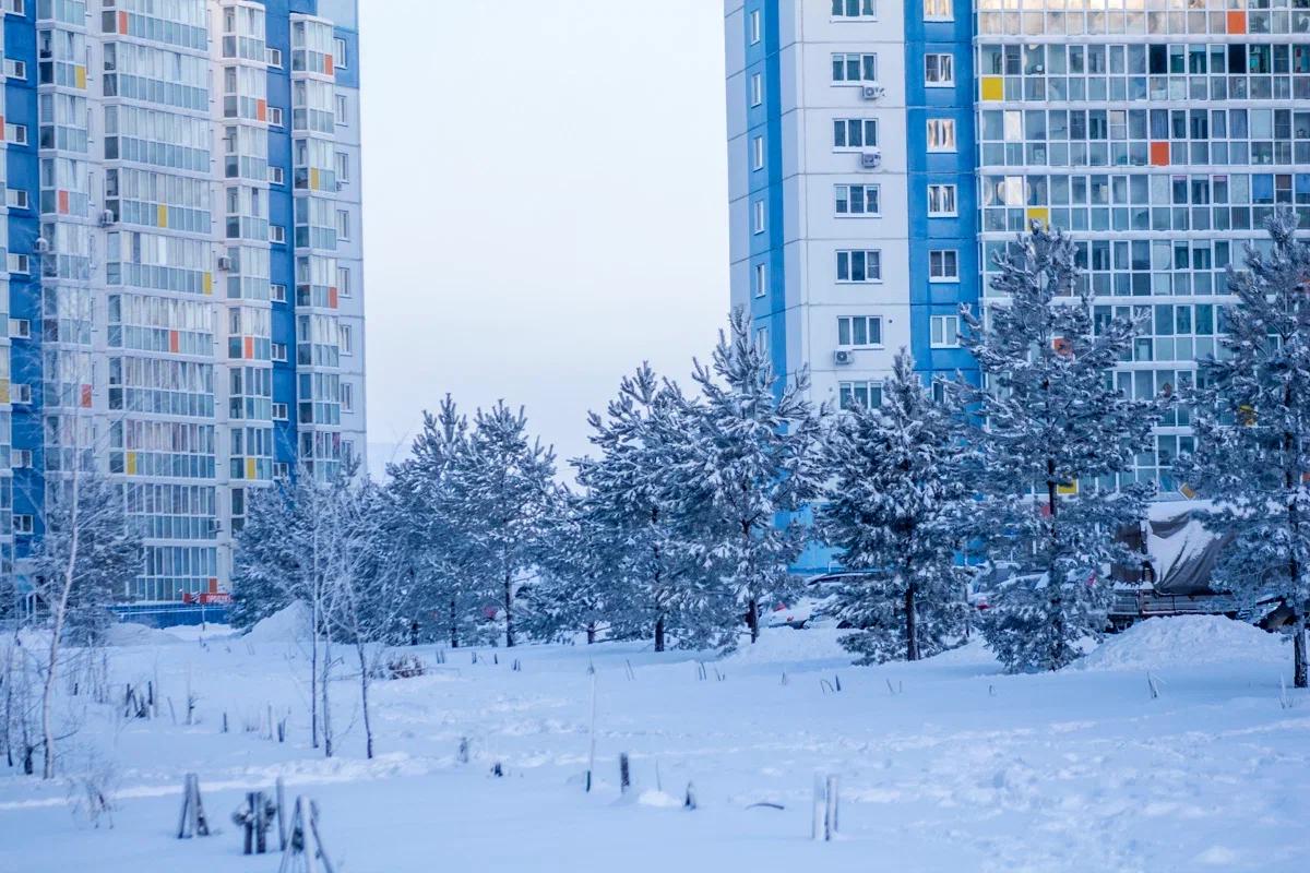 Фото Мурашки по коже. Новосибирск окутали морозы — фоторепортаж с улиц города 9