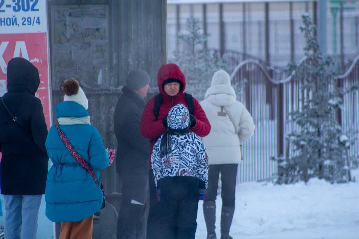 Фото Мурашки по коже. Новосибирск окутали морозы — фоторепортаж с улиц города 5