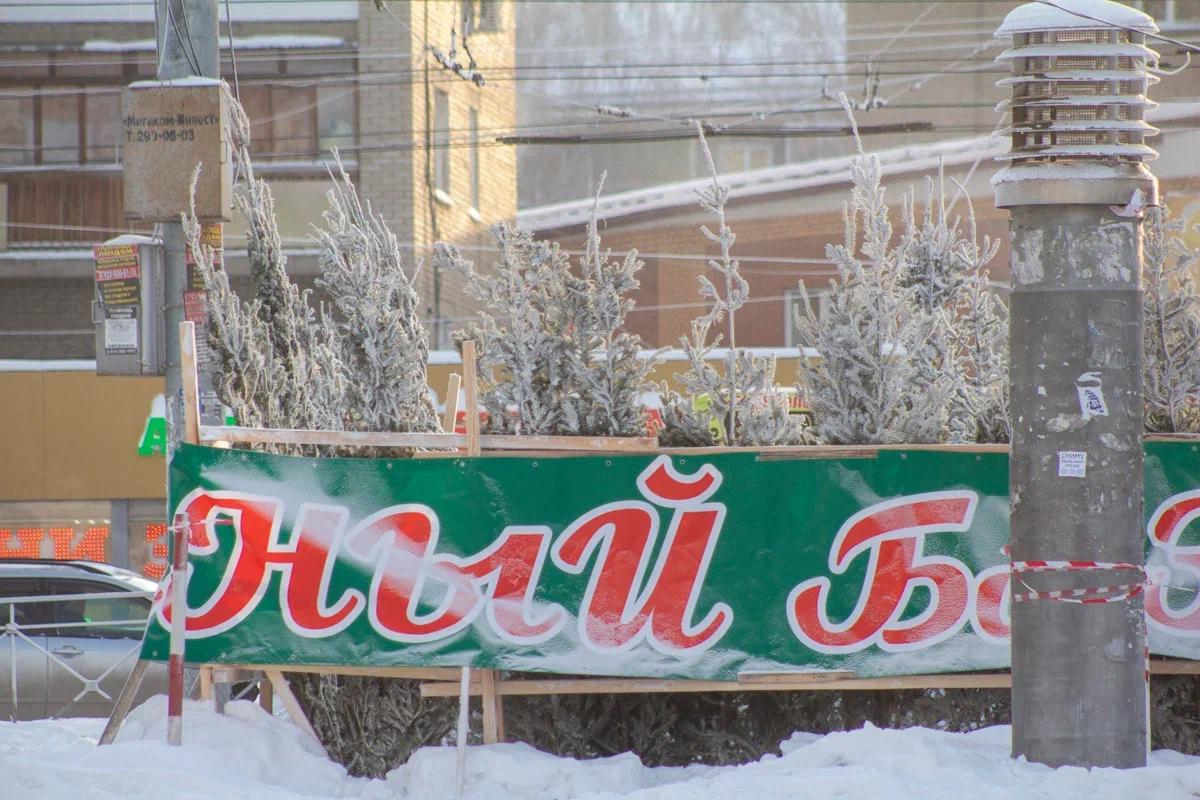 Фото Мурашки по коже. Новосибирск окутали морозы — фоторепортаж с улиц города 10