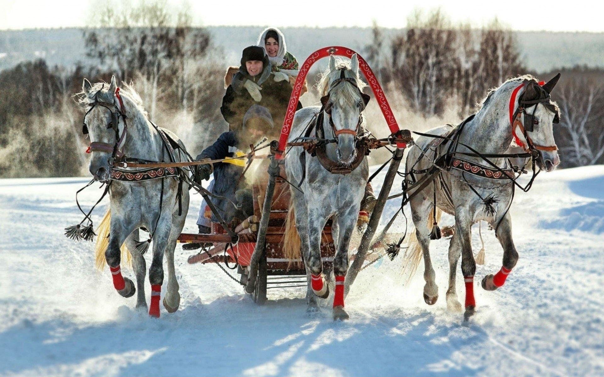 Металлсервис Новосибирск Прайс Лист