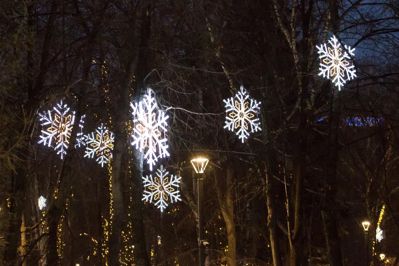 Фото В Новосибирске зажгли праздничную иллюминацию на улице Ленина и в скверах. ФОТОРЕПОРТАЖ 33