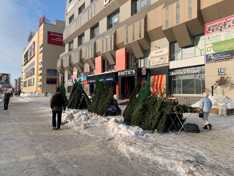 Фото Журналист сравнил цены на елочных базарах Новосибирска 7 - Сиб.ФМ Фото Журналист сравнил цены на елочных базарах Новосибирска 7