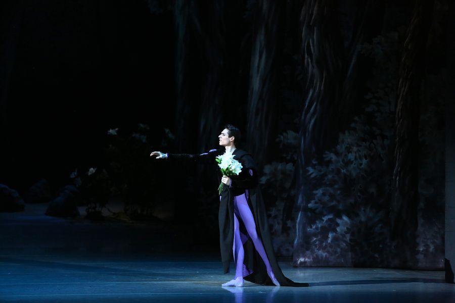 Фото Для поклонников балета и любителей оперы 2