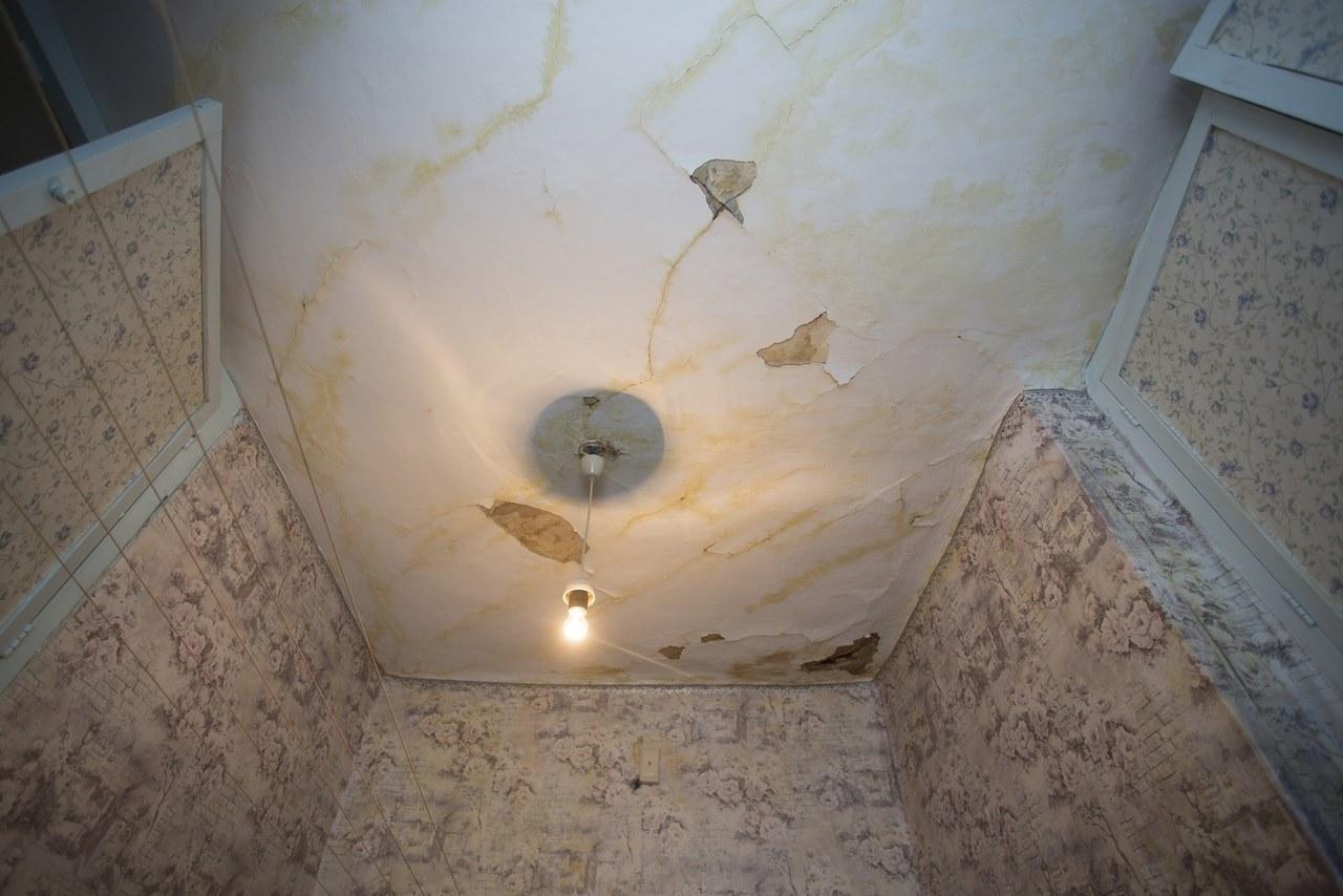 Фото «‎Потолки обвалились, залило всю мебель»: одинокая пенсионерка из Новосибирска показала свою квартиру после затопления кипятком 14